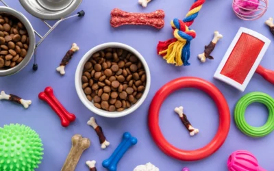 Start a Pet Food Business in Texas