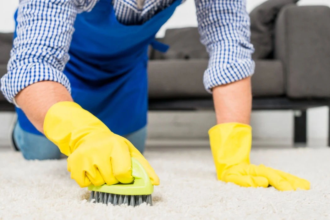 start a carpet cleaning business with no money